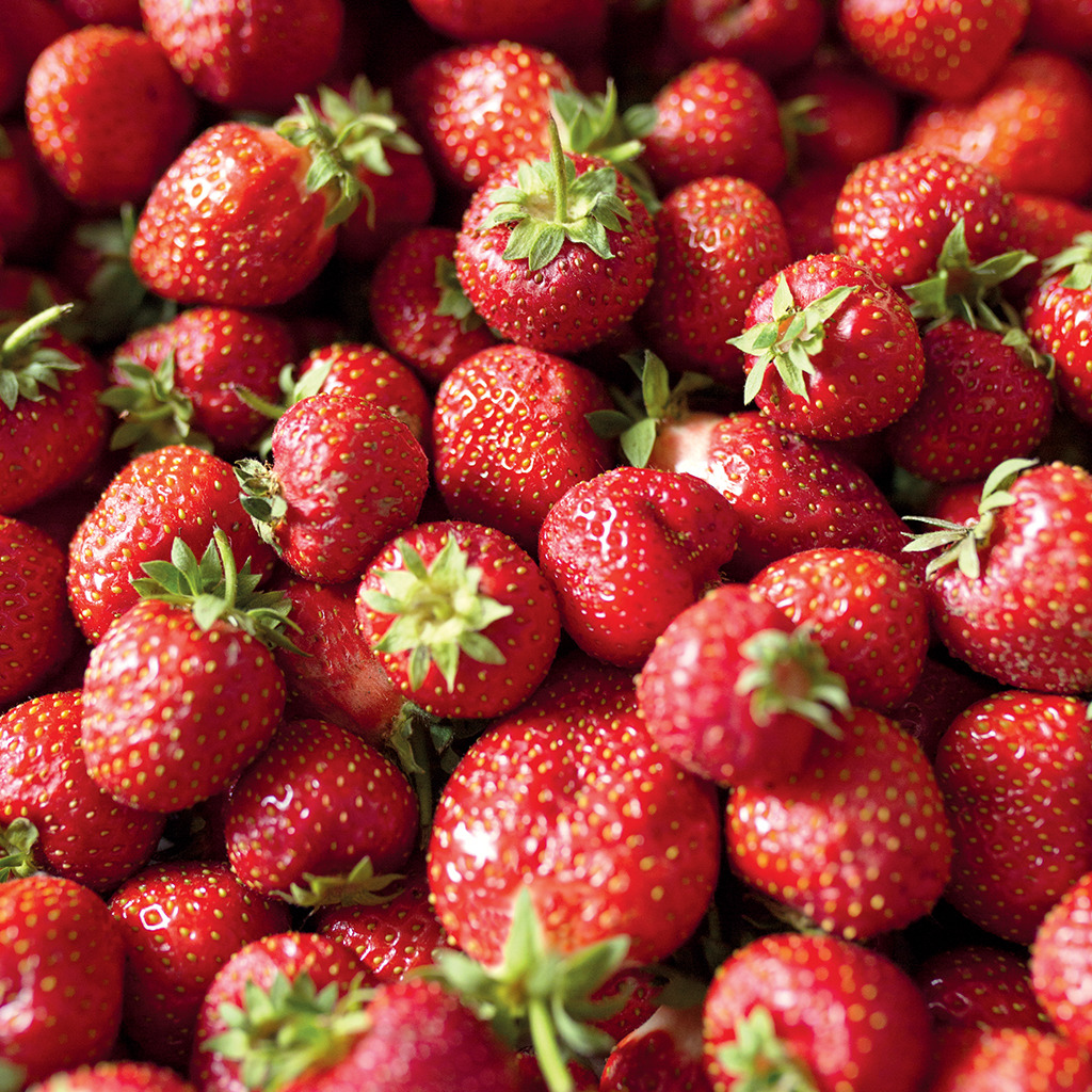 Erdbeerpüree 4x1kg