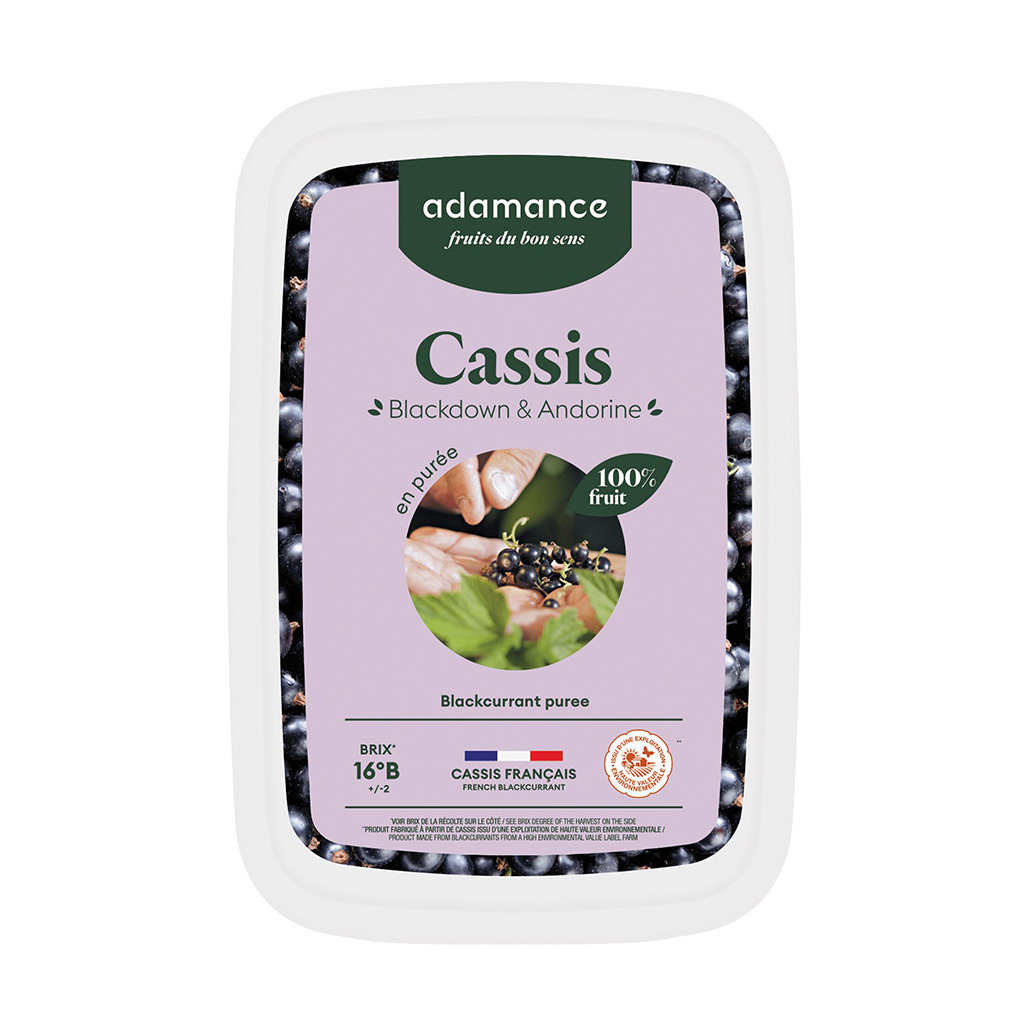 Schwarze Johanissbeerepüree 4x1kg