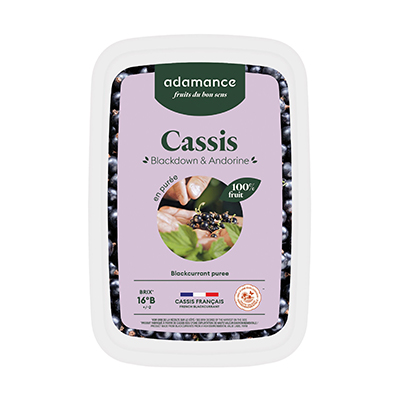 Schwarze Johanissbeerepüree 4x1kg