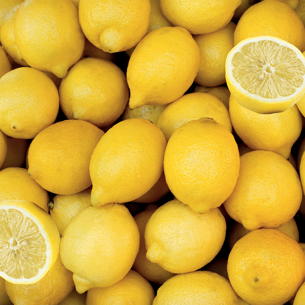 Zitronenpüree 4x1kg