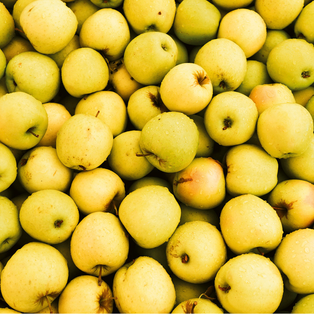 Pure de Pomme 1kg