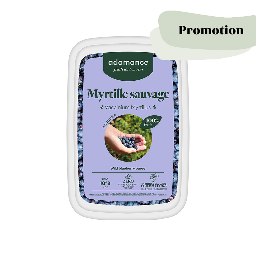 Pure de Myrtille Sauvage 4x1kg