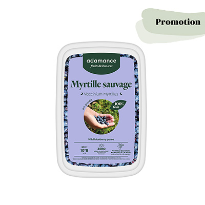 Pure de Myrtille Sauvage 4x1kg