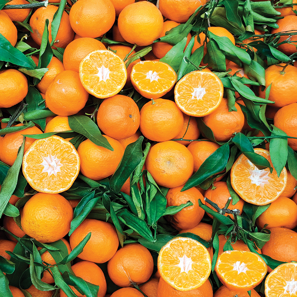 Pure de Mandarine 4x1kg