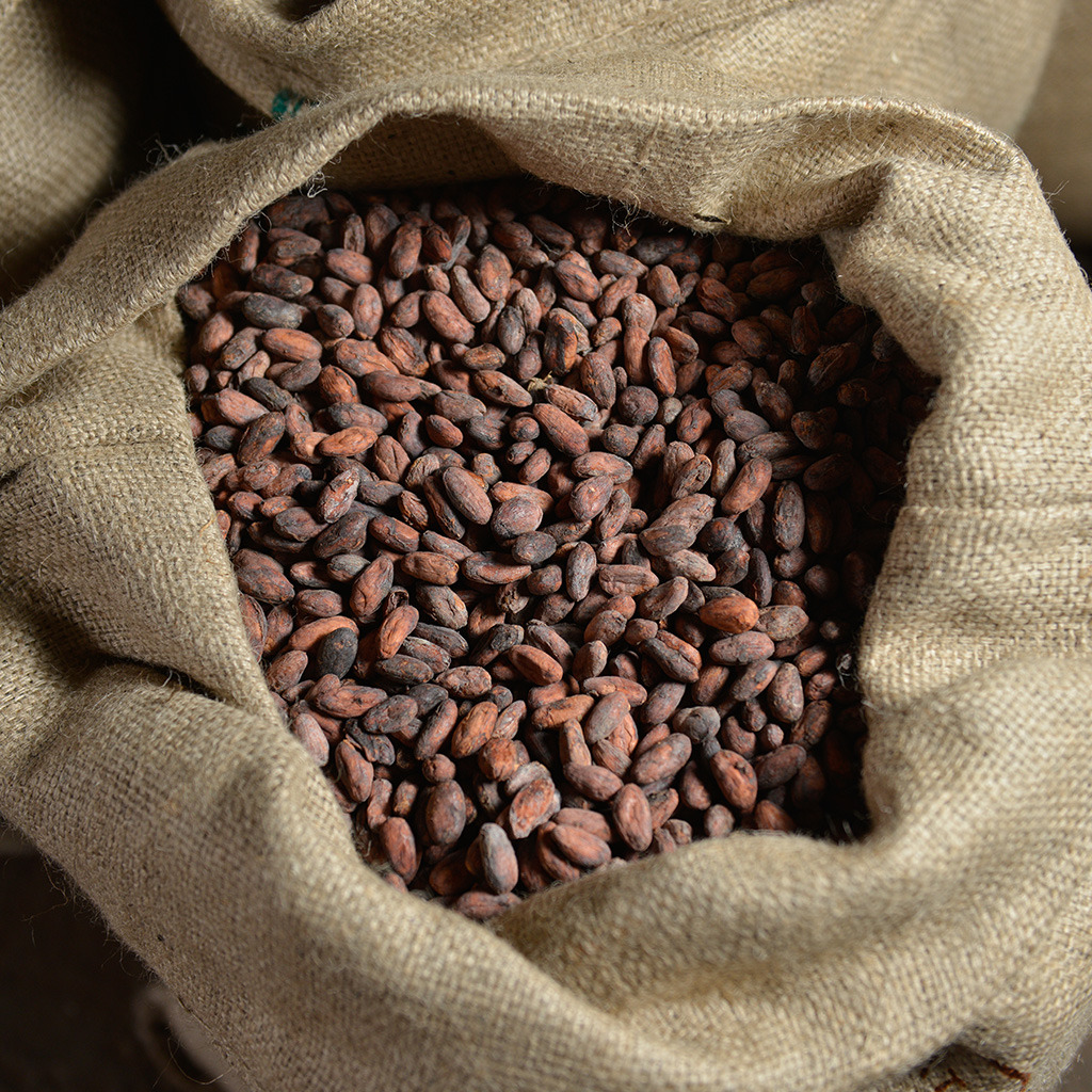 Dunkle Schokoladenflakes ELMER 64% Bio 5kg